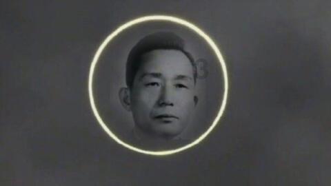 我们到底为什么会爱上另一个人？